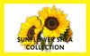 Sunflower Shea 